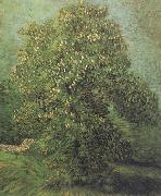 Vincent Van Gogh Chestnut Tree in Blosson (nn04) Sweden oil painting artist
